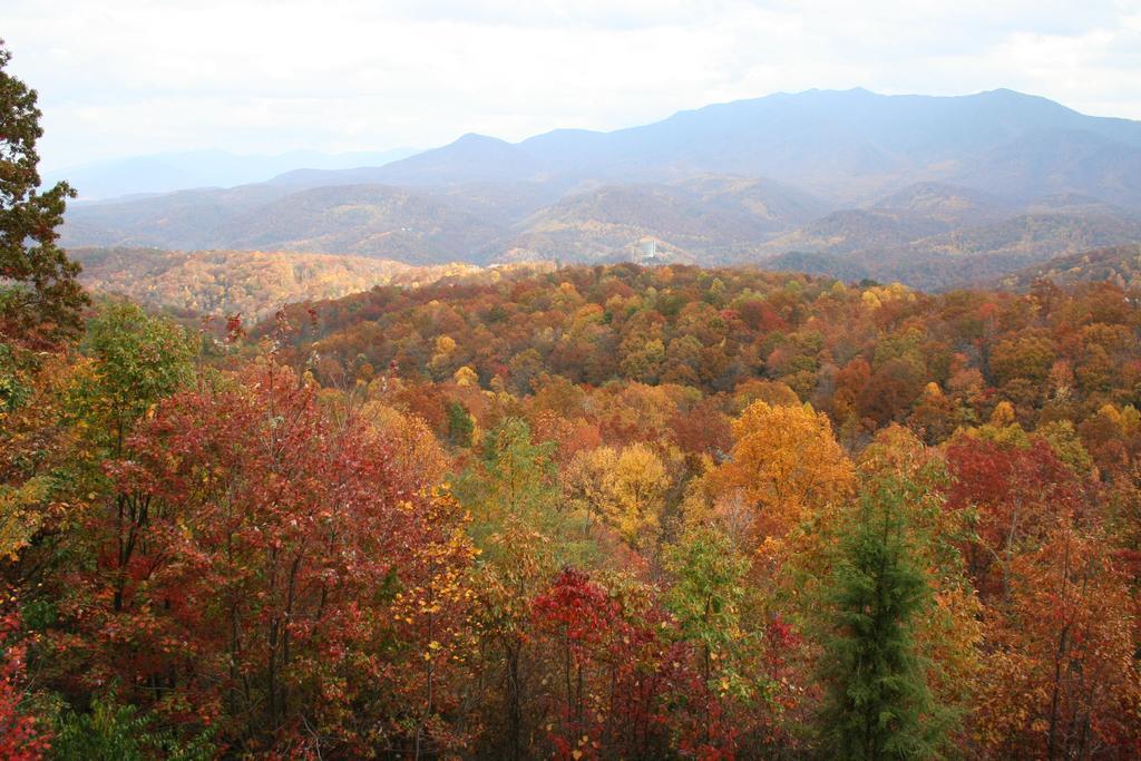 The Foxtrot Bed And Breakfast Gatlinburg Kültér fotó
